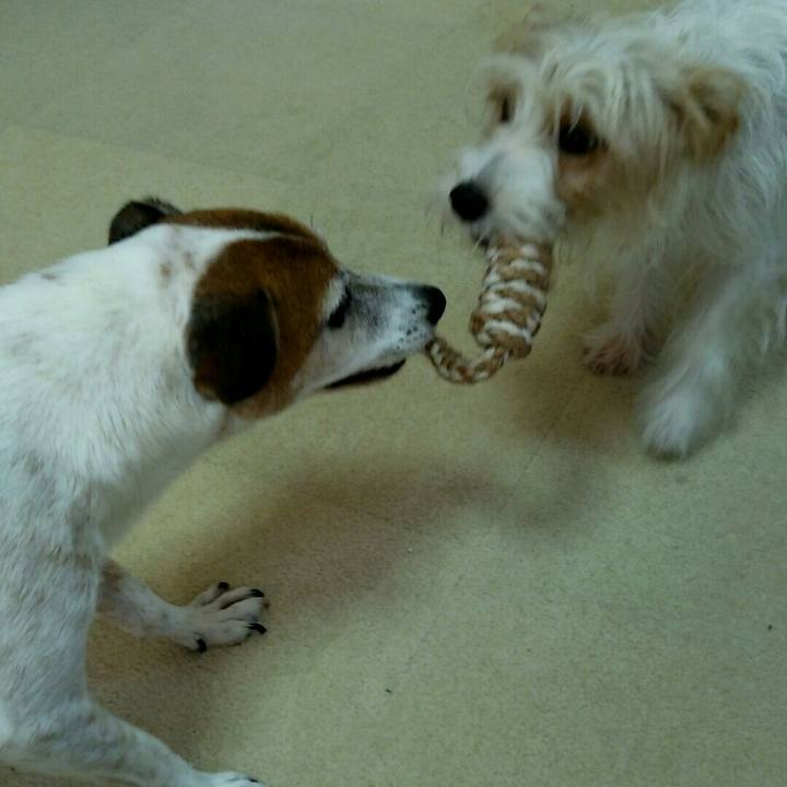 268f41b0 c8a9 4a78 99a4 52201a495520