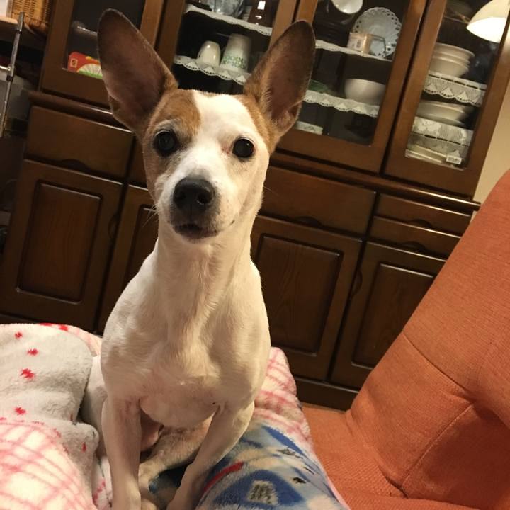 268fb3b6 a490 400c 95c1 fb290c01ced8