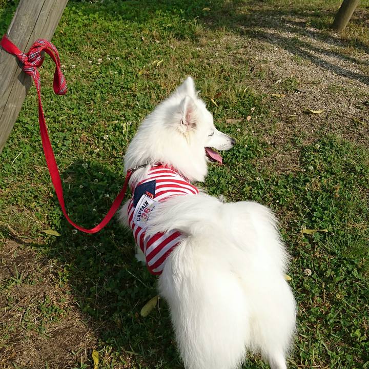 268fce88 532b 4a44 bc23 09507f160b15