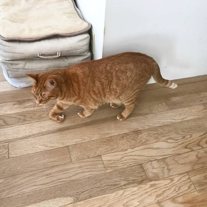 26902da1 51a1 45e0 9b91 d6ca36573a2c