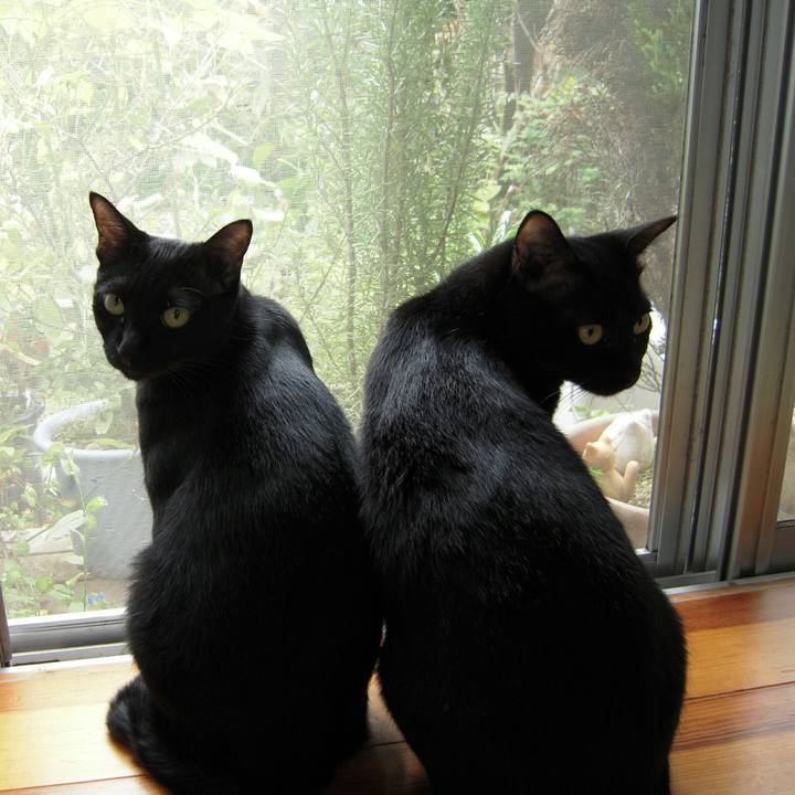 26902e51 9d55 4e99 b427 2ddd8db83152