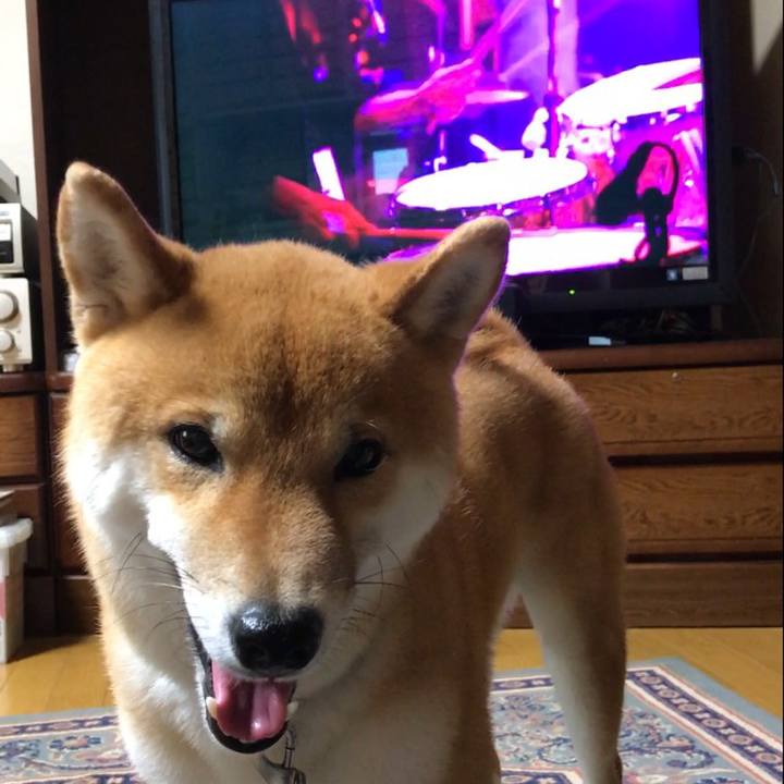 26907501 0851 49b2 930d 29fcc121e724