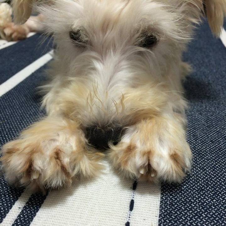 26908c31 7318 4515 9718 27499630250c