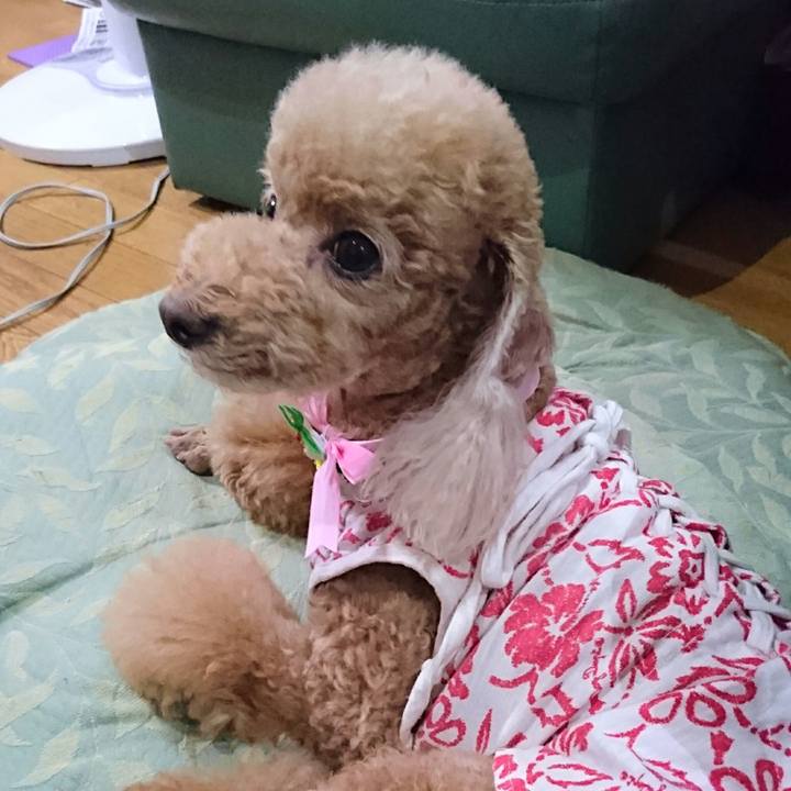 2690b1c9 4a01 41ce b648 782098a6d3d9