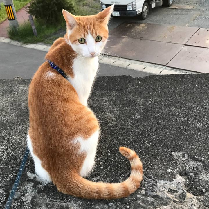 269104b4 1f38 4253 bb83 95e2316a63c2