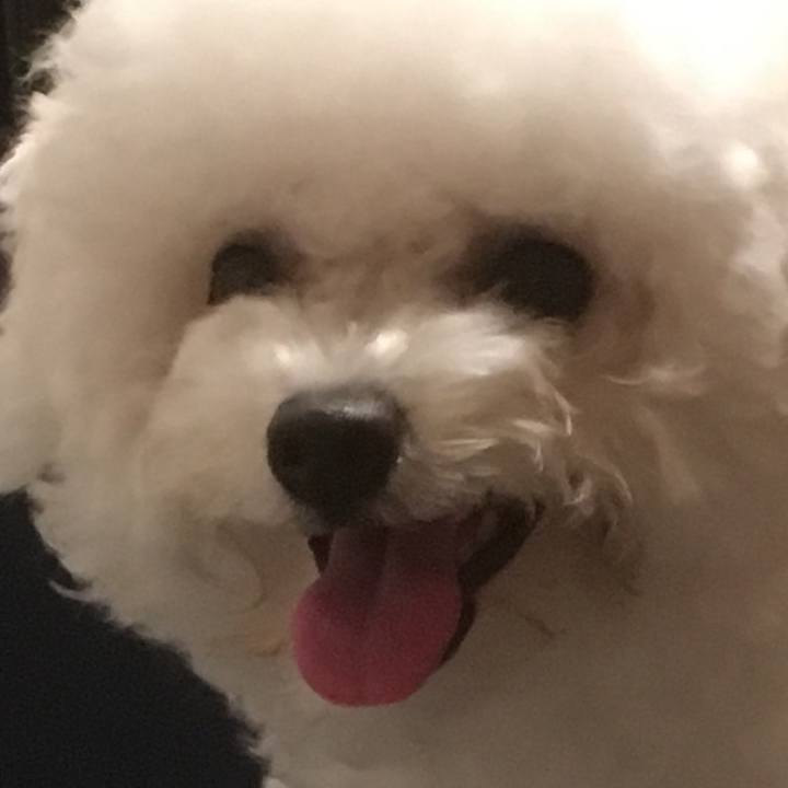 26911743 d618 47d6 a035 87c972123077