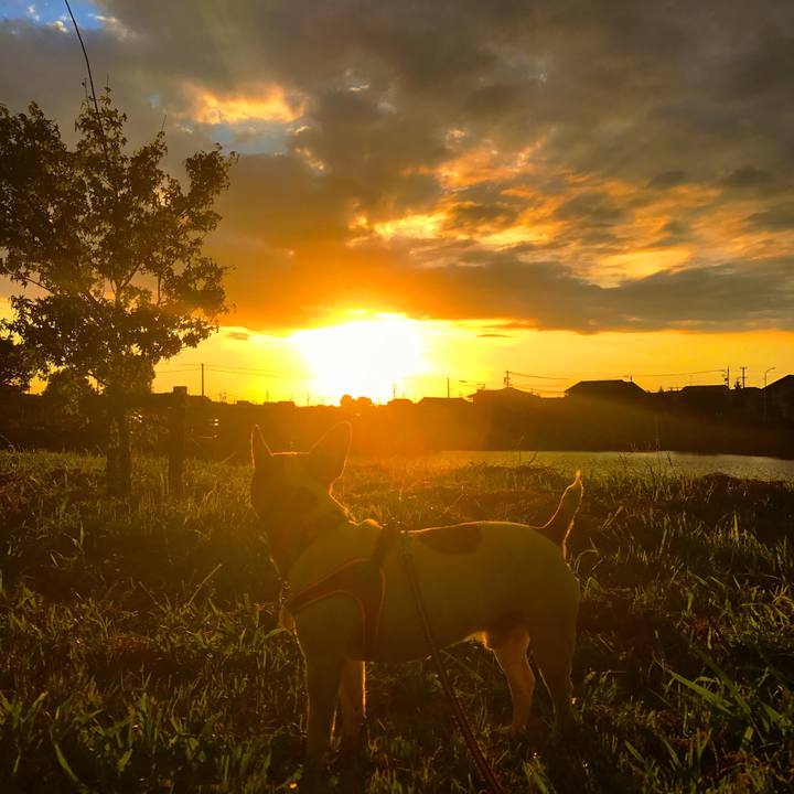 2691e085 d601 4650 8c3d 8e31f4a6151f