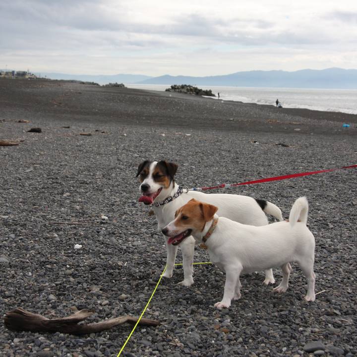 2691f3ae 0c44 40c1 bf9e f37d6bd6d0dc