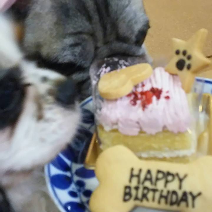 269273ce bd19 4527 af9f e18f547d83aa