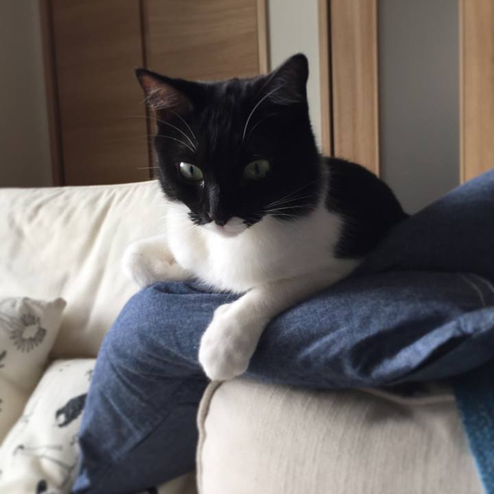 2692a85c c236 4bce 8237 f78d55b36825