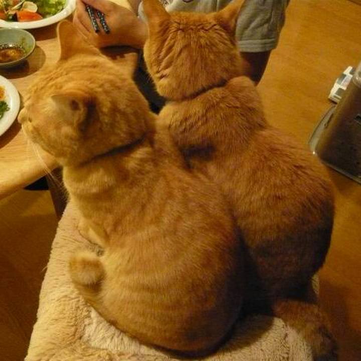 26934a59 ed5d 47fd 843d c49095b9808a