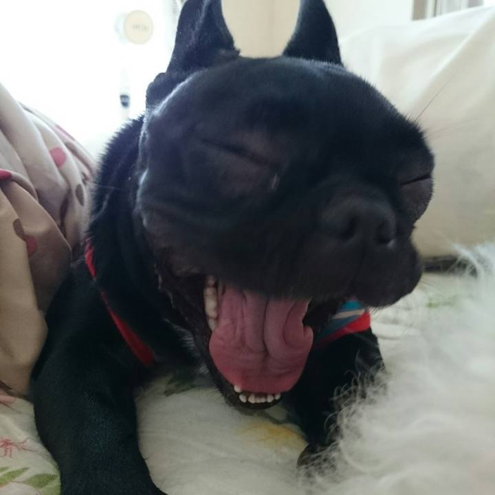 26936f57 8196 4a2f 82a0 5a7bf9bc33b3