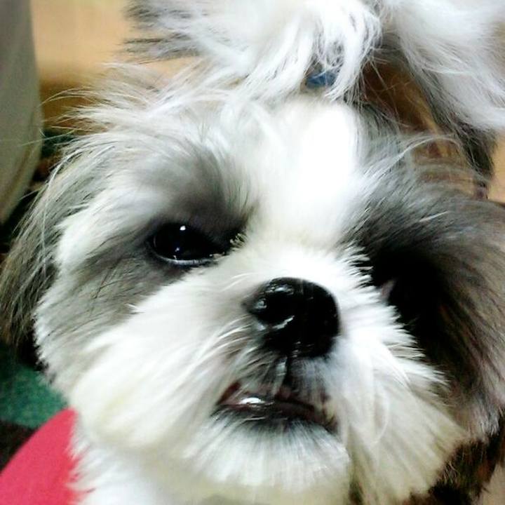 269371af 6888 4ffe a4e3 8f3343066a27