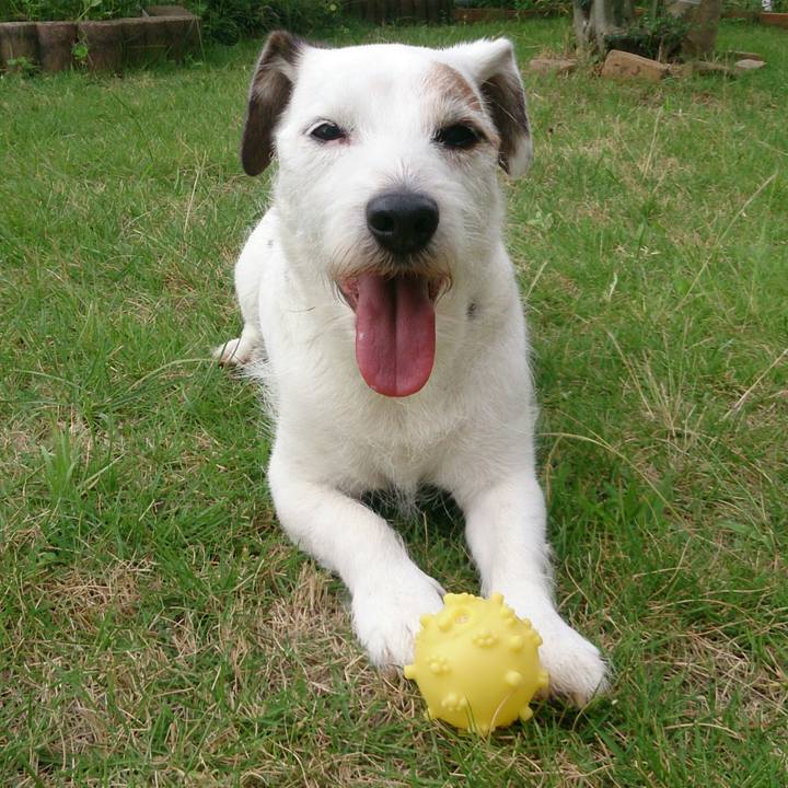 26939d76 ddbc 45df a484 2ea131624c24