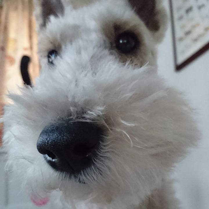 2693a66d 935d 43d3 9f2e 2a170876640c