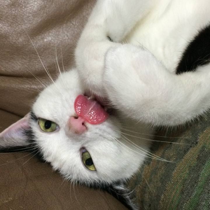 2693dca2 b4e3 4b8a 996b 5cdbb566edab