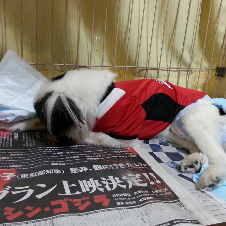 269439b8 e937 44a2 afab 7797db264ff6