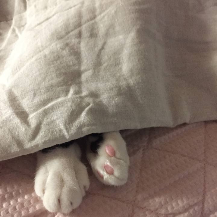 26950595 8722 472c 986c f2e1e9a90392