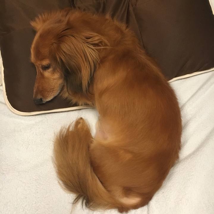 26971cb2 c607 4527 ad87 a5283826c39c