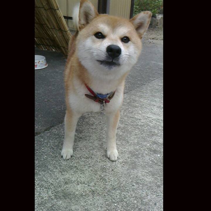 2697d80e 8e0f 4ab0 88d6 ddf6a3dd66e9