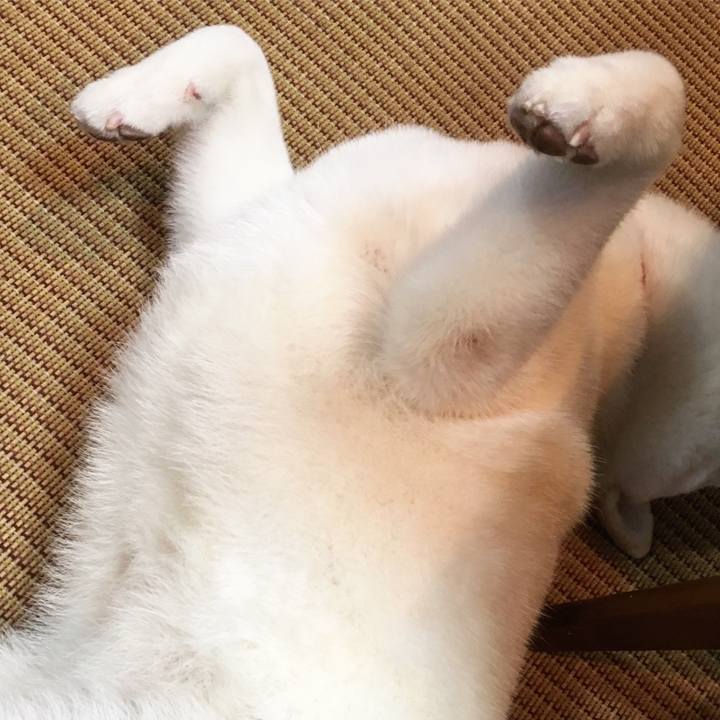 26993d19 15fd 47ba a1b7 aae780c0e3bd