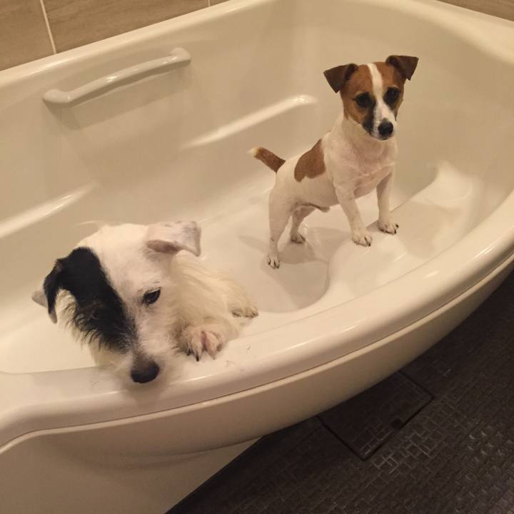 2699de02 878d 434a 9c0f 9c02e65b1c23