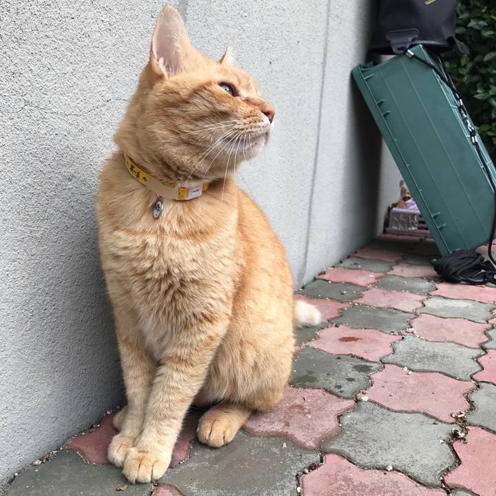 269a21ef 4700 4443 a8f4 f0e6fda59995