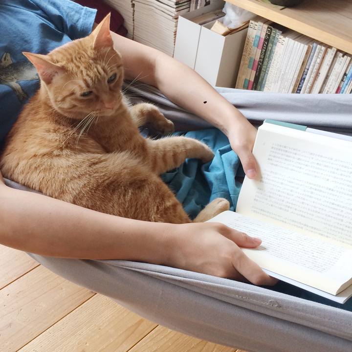 269a46da 0f92 45c4 96c3 5051d36c9371