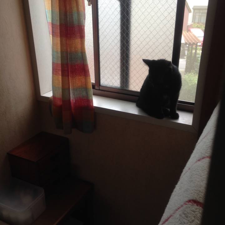 269afb74 fe62 4cda b88c 503026abc524