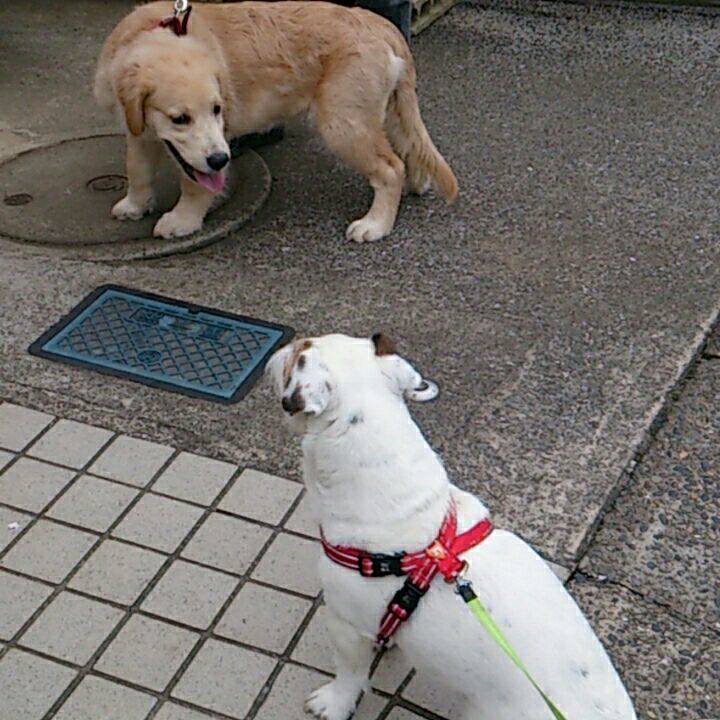 269be439 e091 4b1d acb4 adc6f059ed20