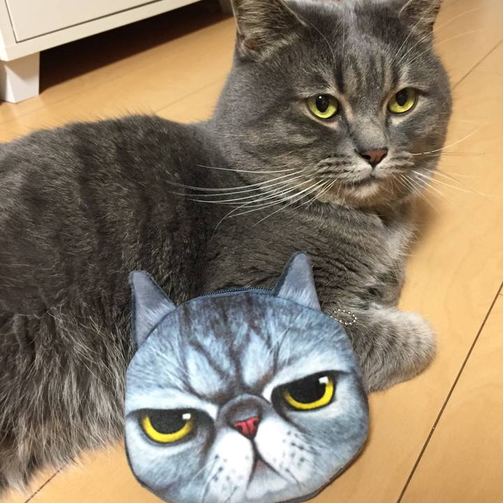 269cf9e0 1532 42b9 be1c 847d3c37b001