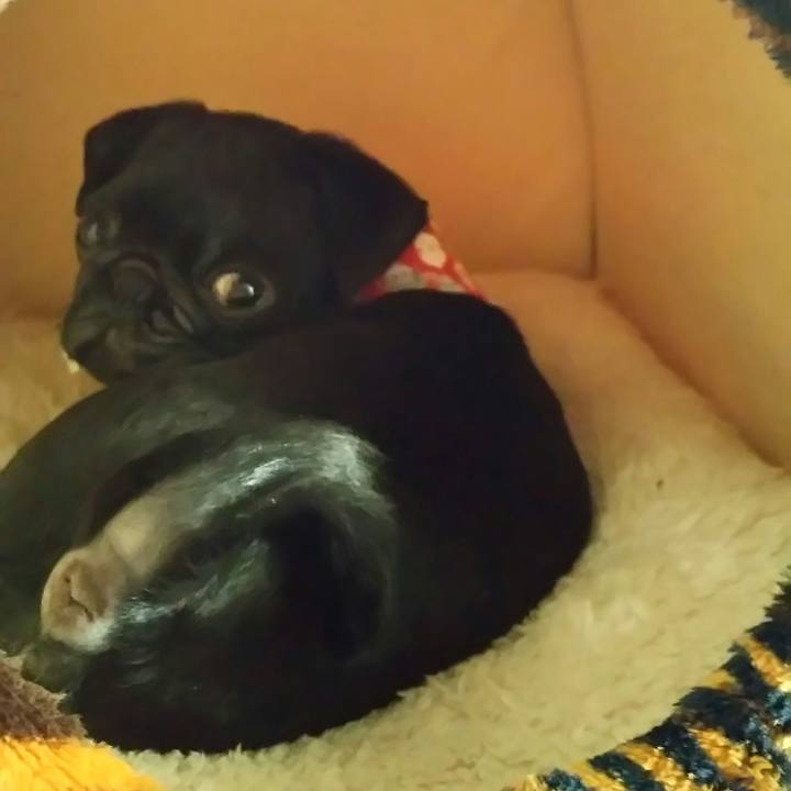 269d5bfc e430 4d6a b3f7 442caab99fb0