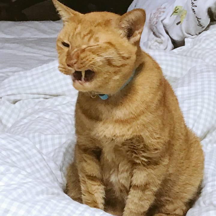 269d9fa7 6619 4176 a84e a728cfa5a62c