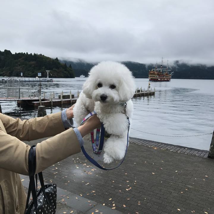 269dc38f 7fdd 42c9 b9f4 016a293d69e8