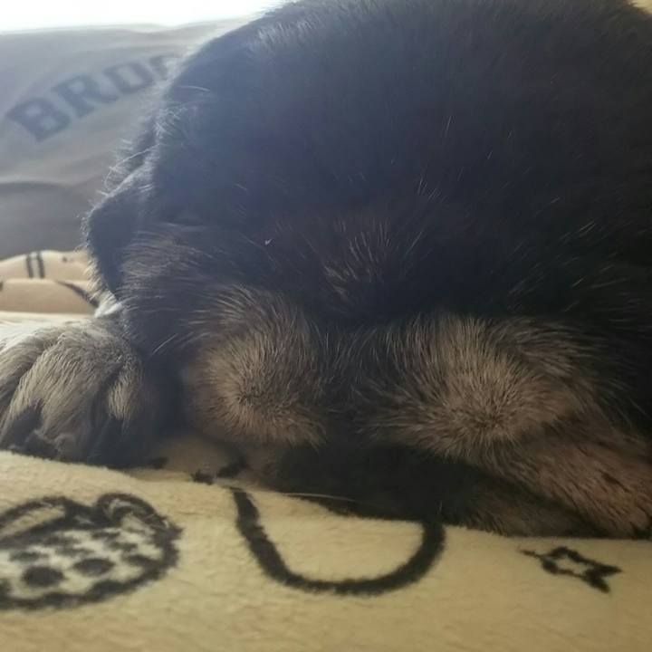 269e200e a2db 47b3 a31d c0774d4d910b