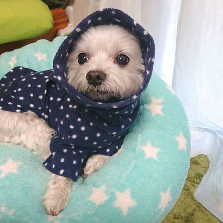 269e585e 20a8 4446 ad7f e87ab7adda49