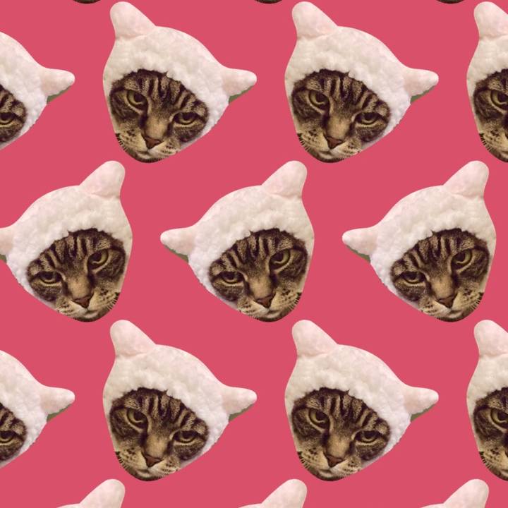 269e9efa 68de 46af bc60 79ac4059a022