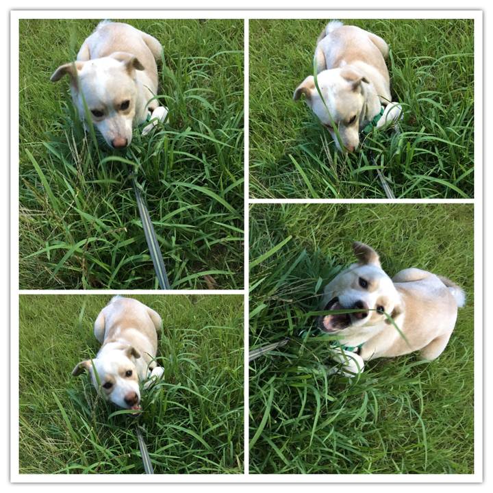 269f68c0 872b 4c24 b326 fa61ed1297bd