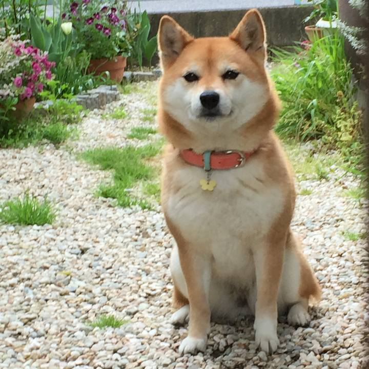 269f7dae 021a 467d b76c 71c403faa46f