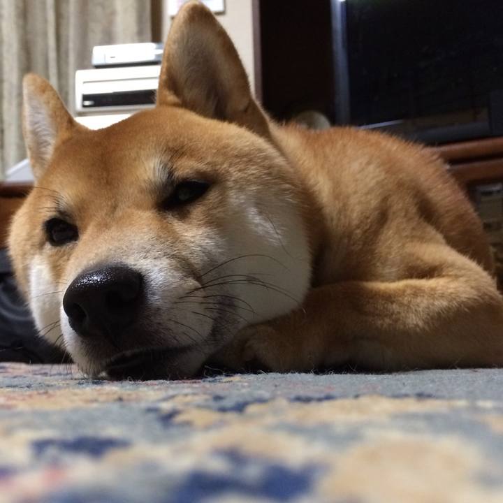 269fa3c9 9168 4b62 ac80 70d0c13c8f6e