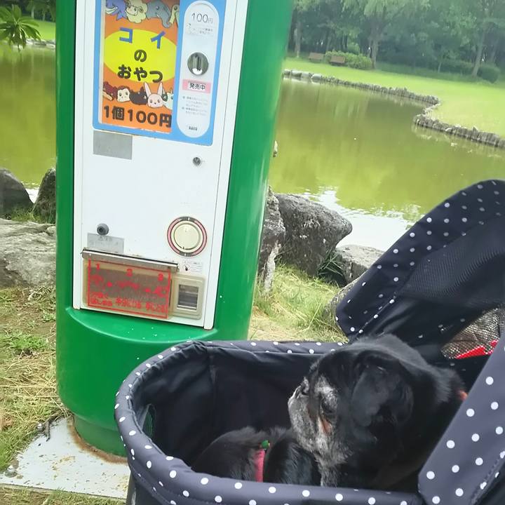 269fb305 161c 4bbd 9fbe fd3c282cd6d9