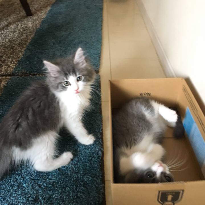 269ffc24 4ee8 4b96 b1f4 3e3bbe0e038f