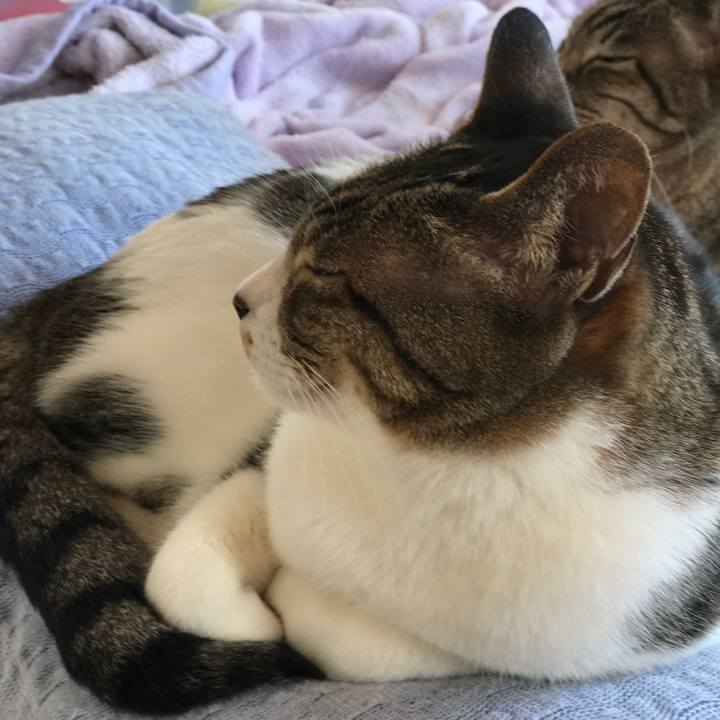 26a069f0 922c 4ed3 b94b 3997b190692a