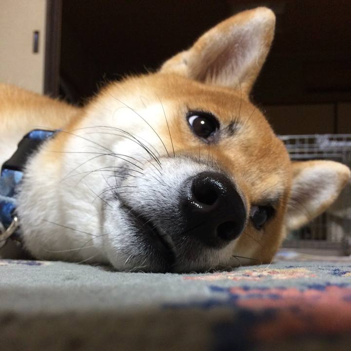 26a06dc0 c054 4e80 85f1 686c1d44fe8e