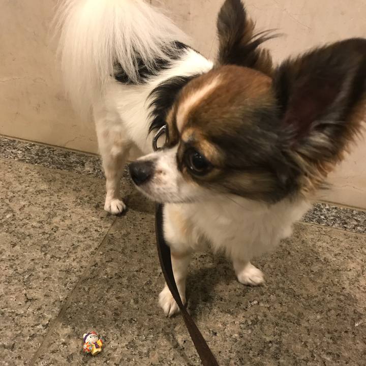 26a0935e 6af9 4402 a759 ea0eed69a859