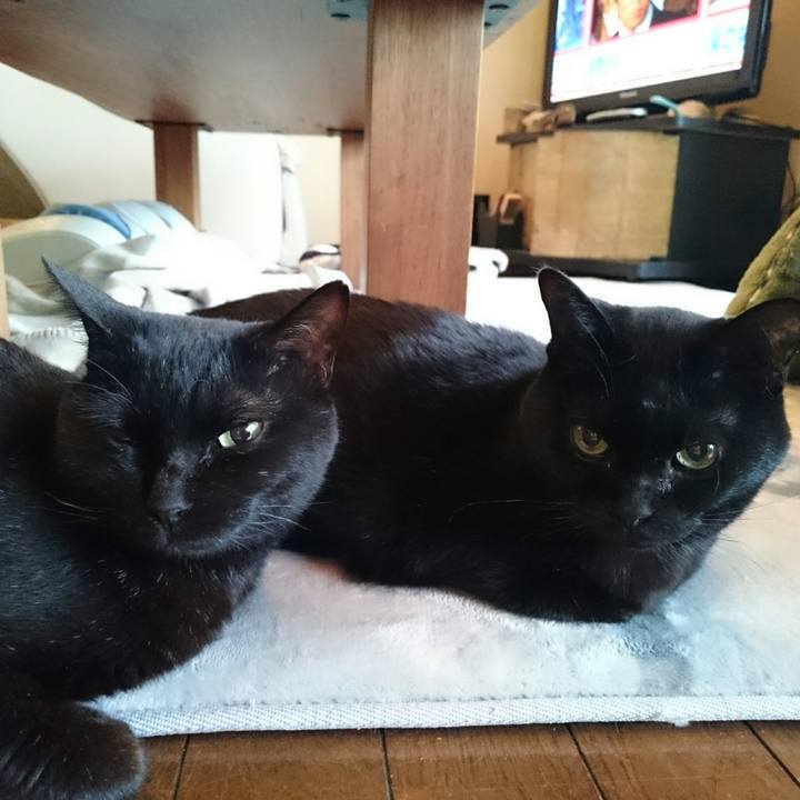 26a11f8a 32c6 4e96 afb6 da4064199bcd