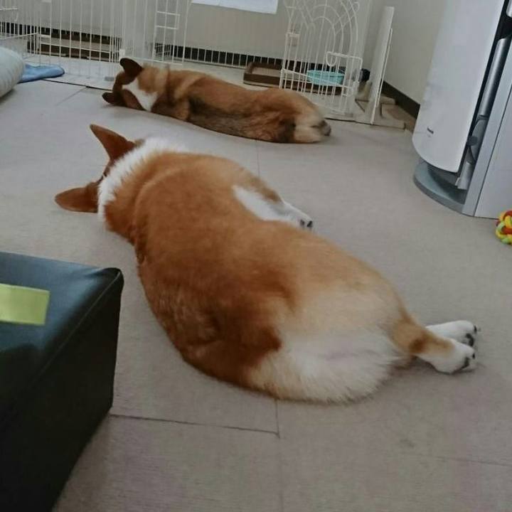 26a17dc3 c4d1 4836 8451 346b5fb88880