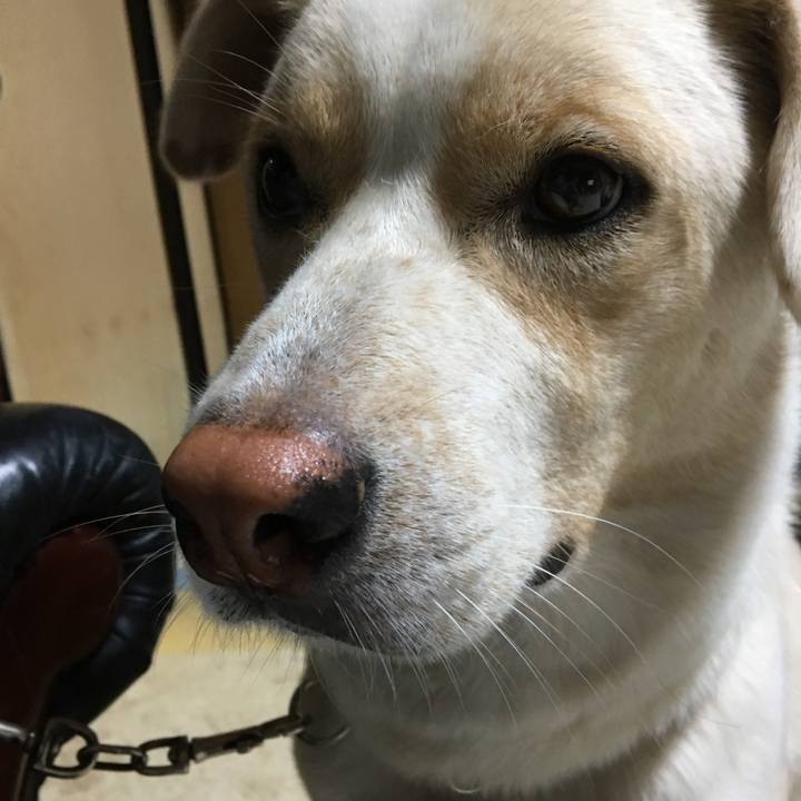 26a1997d ab6c 4f50 8d6e c1b135d40c52