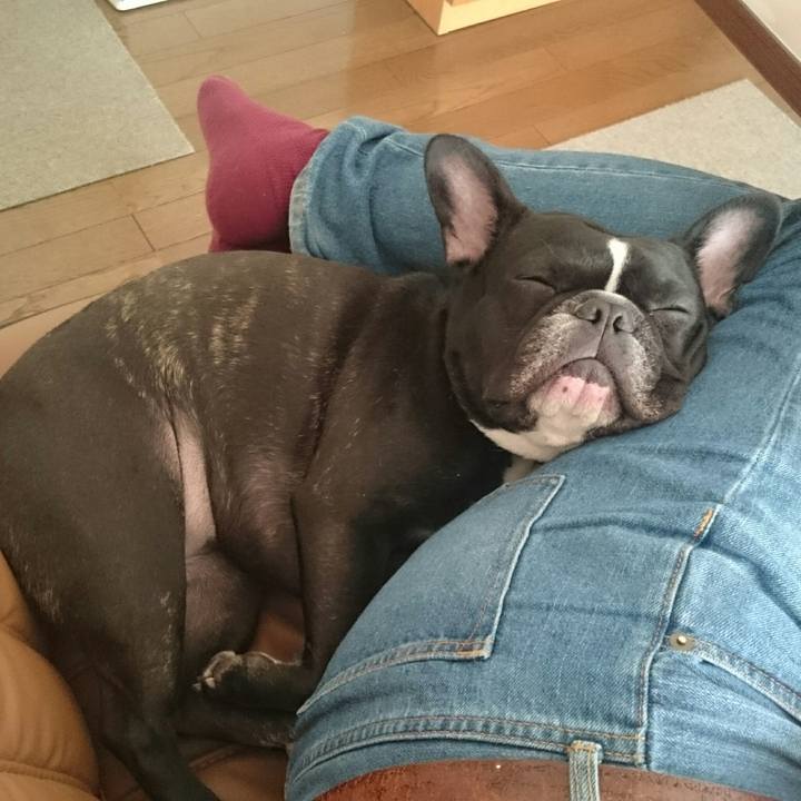 26a1f6c5 f9ff 459f a72d e930d33e15d2