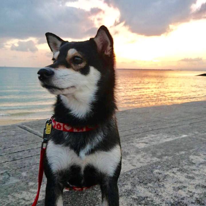 26a2124b 63a3 477e 9eb7 82215c4e9e36